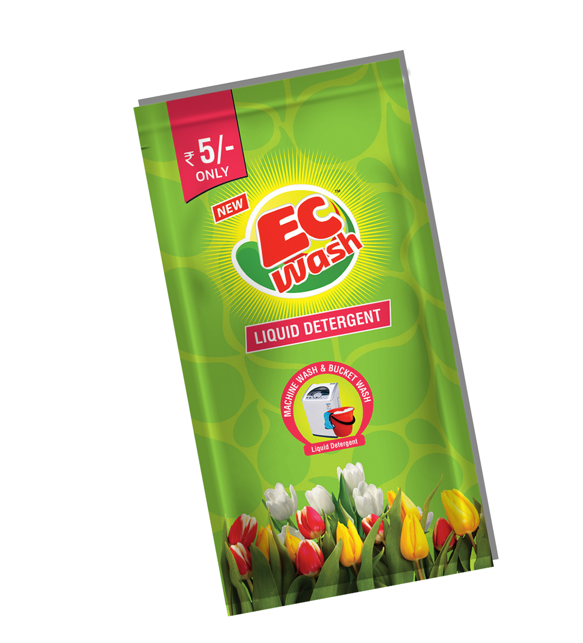 Coimbatore Package Design